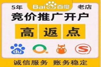 某行业巨头托管竞价sem的胜利之路